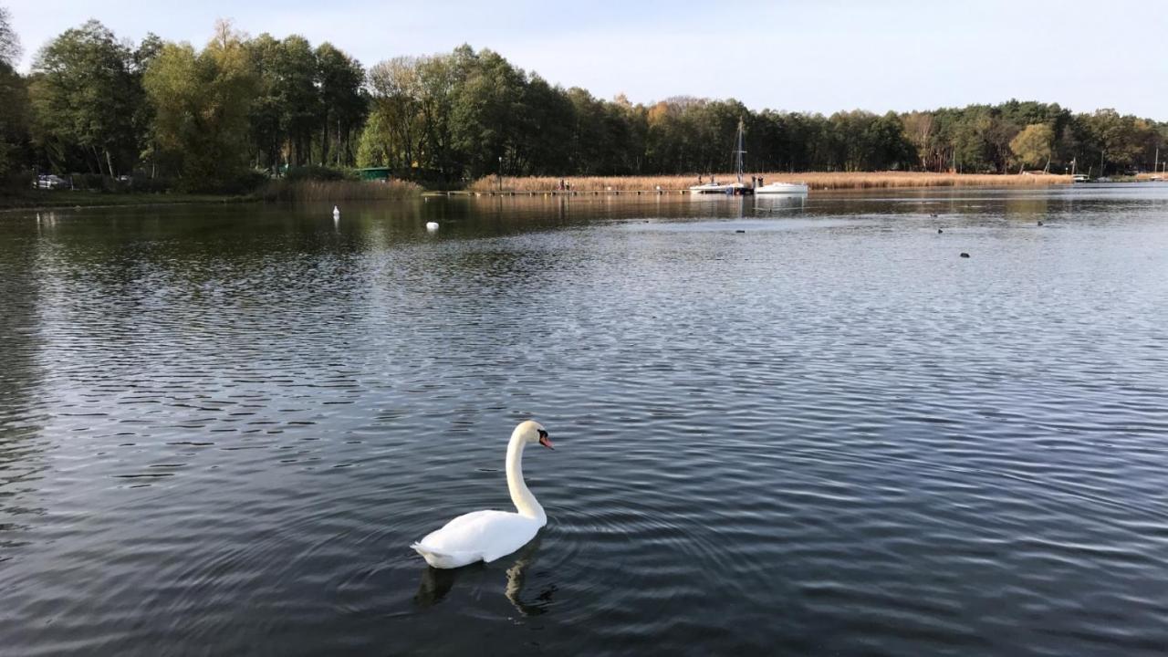 Domek Franianiesulice Buitenkant foto