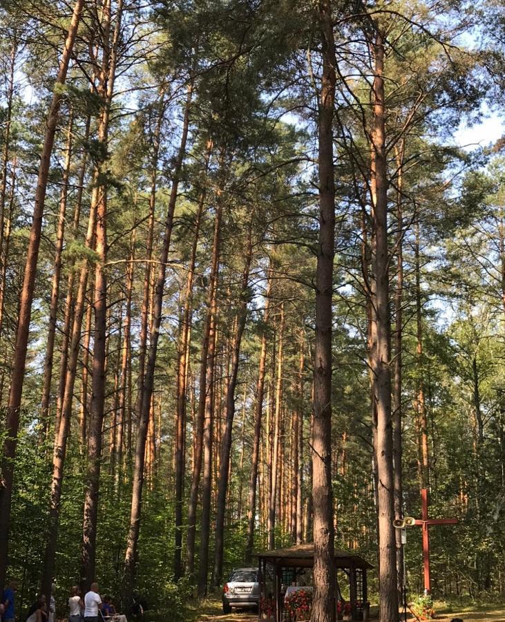 Domek Franianiesulice Buitenkant foto