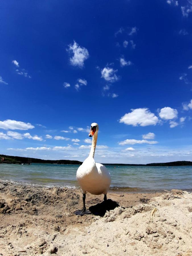 Domek Franianiesulice Buitenkant foto